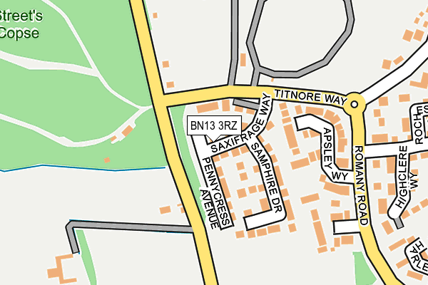BN13 3RZ map - OS OpenMap – Local (Ordnance Survey) BN13 3RZ map - OS OpenMap – Local (Ordnance Survey)