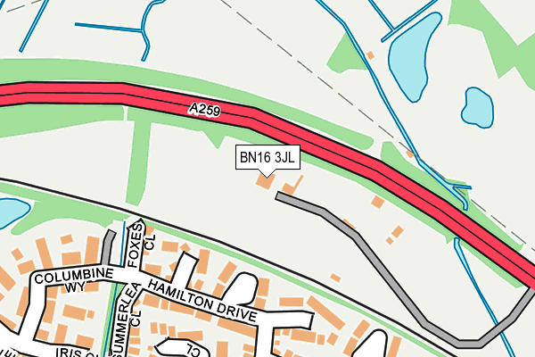 BN16 3JL map - OS OpenMap – Local (Ordnance Survey) BN16 3JL map - OS OpenMap – Local (Ordnance Survey)