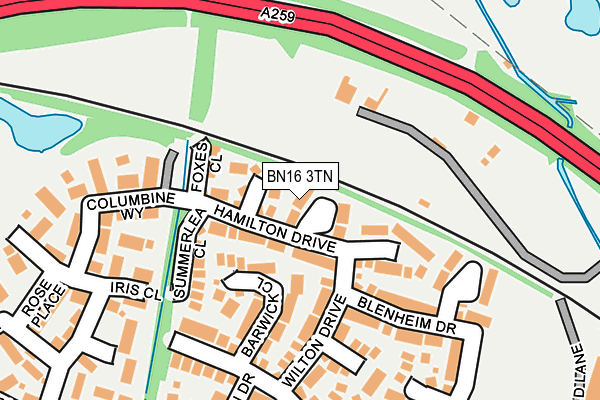 BN16 3TN map - OS OpenMap – Local (Ordnance Survey) BN16 3TN map - OS OpenMap – Local (Ordnance Survey)