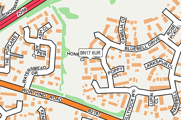 BN17 6UR map - OS OpenMap – Local (Ordnance Survey) BN17 6UR map - OS OpenMap – Local (Ordnance Survey)