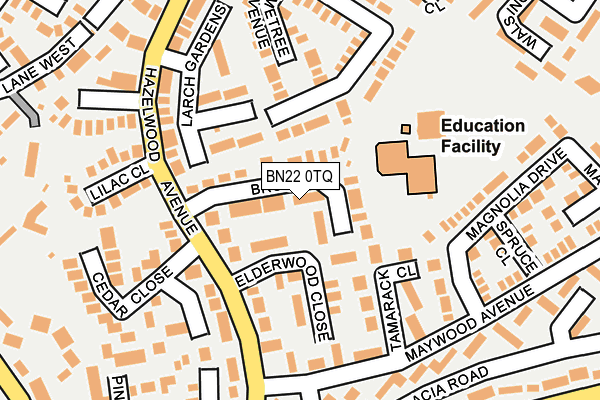 BN22 0TQ map - OS OpenMap – Local (Ordnance Survey) BN22 0TQ map - OS OpenMap – Local (Ordnance Survey)