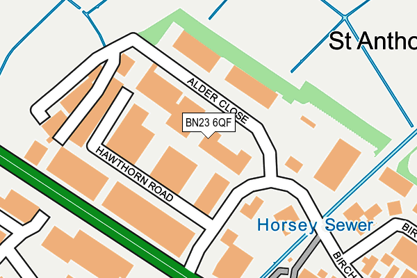 BN23 6QF map - OS OpenMap – Local (Ordnance Survey) BN23 6QF map - OS OpenMap – Local (Ordnance Survey)