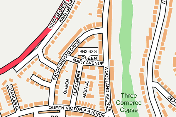 BN3 6XG map - OS OpenMap – Local (Ordnance Survey) BN3 6XG map - OS OpenMap – Local (Ordnance Survey)