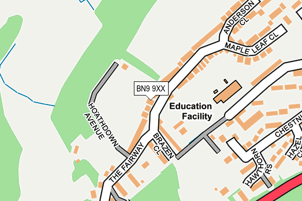 BN9 9XX map - OS OpenMap – Local (Ordnance Survey)
