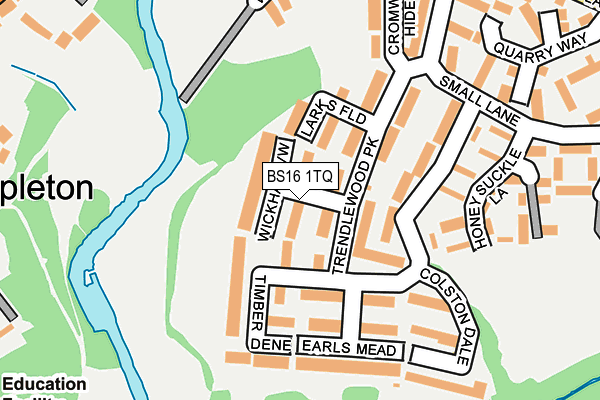 BS16 1TQ map - OS OpenMap – Local (Ordnance Survey) BS16 1TQ map - OS OpenMap – Local (Ordnance Survey)