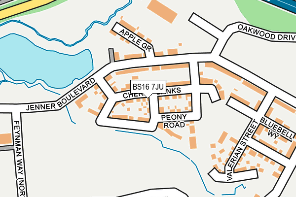 BS16 7JU map - OS OpenMap – Local (Ordnance Survey) BS16 7JU map - OS OpenMap – Local (Ordnance Survey)