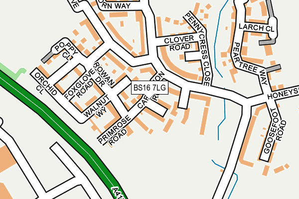 BS16 7LG map - OS OpenMap – Local (Ordnance Survey) BS16 7LG map - OS OpenMap – Local (Ordnance Survey)