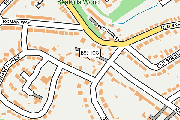 BS9 1QG map - OS OpenMap – Local (Ordnance Survey) BS9 1QG map - OS OpenMap – Local (Ordnance Survey)