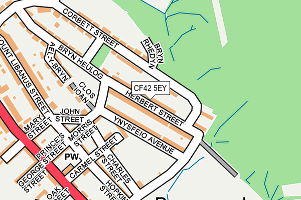 CF42 5EY map - OS OpenMap – Local (Ordnance Survey) CF42 5EY map - OS OpenMap – Local (Ordnance Survey)