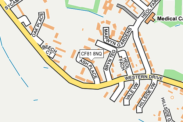 CF81 8NQ map - OS OpenMap – Local (Ordnance Survey) CF81 8NQ map - OS OpenMap – Local (Ordnance Survey)