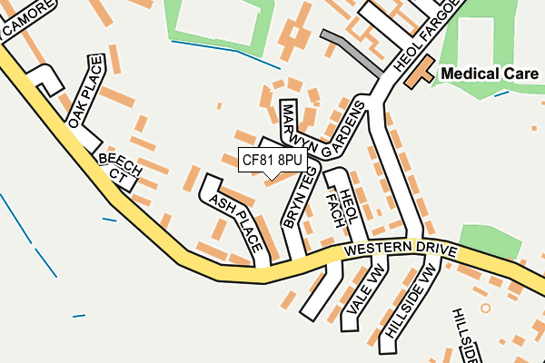 CF81 8PU map - OS OpenMap – Local (Ordnance Survey) CF81 8PU map - OS OpenMap – Local (Ordnance Survey)
