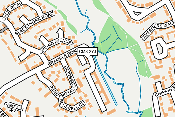 CM8 2YJ map - OS OpenMap – Local (Ordnance Survey) CM8 2YJ map - OS OpenMap – Local (Ordnance Survey)
