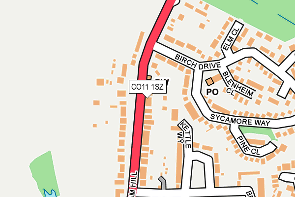 CO11 1SZ map - OS OpenMap – Local (Ordnance Survey)
