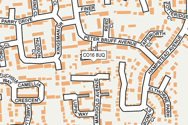 CO16 8UQ map - OS OpenMap – Local (Ordnance Survey)