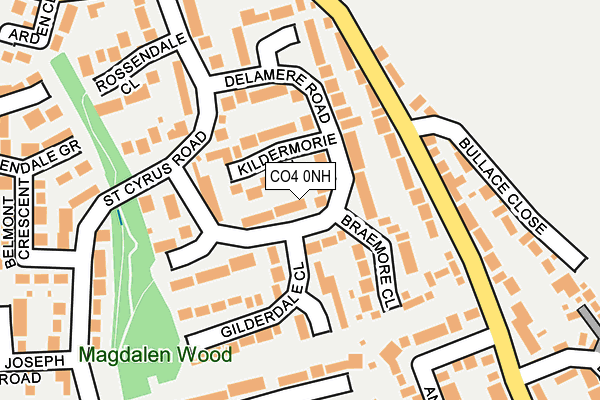 CO4 0NH map - OS OpenMap – Local (Ordnance Survey) CO4 0NH map - OS OpenMap – Local (Ordnance Survey)