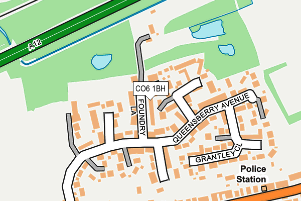 CO6 1BH map - OS OpenMap – Local (Ordnance Survey)