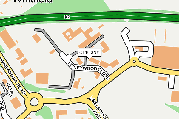 CT16 3NY map - OS OpenMap – Local (Ordnance Survey) CT16 3NY map - OS OpenMap – Local (Ordnance Survey)