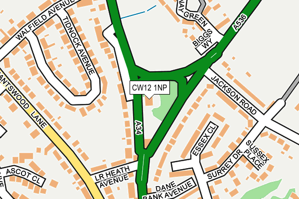 CW12 1NP map - OS OpenMap – Local (Ordnance Survey) CW12 1NP map - OS OpenMap – Local (Ordnance Survey)