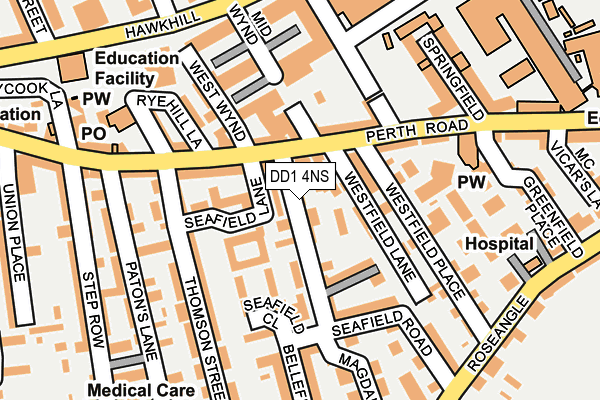 DD1 4NS map - OS OpenMap – Local (Ordnance Survey)