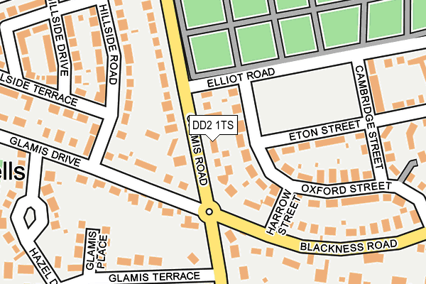 DD2 1TS map - OS OpenMap – Local (Ordnance Survey) DD2 1TS map - OS OpenMap – Local (Ordnance Survey)