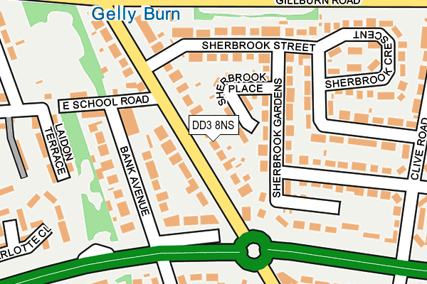 DD3 8NS map - OS OpenMap – Local (Ordnance Survey)
