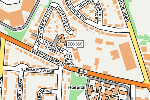 DD3 8SS map - OS OpenMap – Local (Ordnance Survey) DD3 8SS map - OS OpenMap – Local (Ordnance Survey)