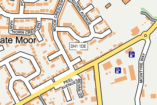 DH1 1DE map - OS OpenMap – Local (Ordnance Survey) DH1 1DE map - OS OpenMap – Local (Ordnance Survey)