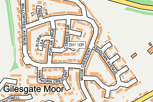 DH1 1DP map - OS OpenMap – Local (Ordnance Survey) DH1 1DP map - OS OpenMap – Local (Ordnance Survey)