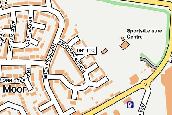 DH1 1DQ map - OS OpenMap – Local (Ordnance Survey) DH1 1DQ map - OS OpenMap – Local (Ordnance Survey)