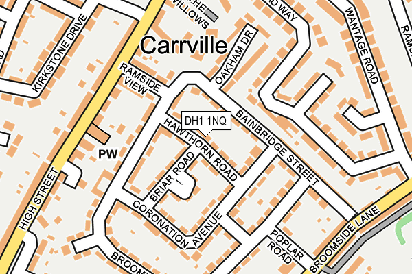 DH1 1NQ map - OS OpenMap – Local (Ordnance Survey)