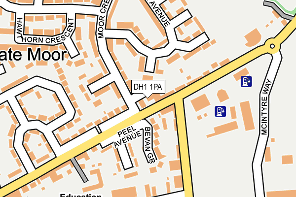 DH1 1PA map - OS OpenMap – Local (Ordnance Survey) DH1 1PA map - OS OpenMap – Local (Ordnance Survey)