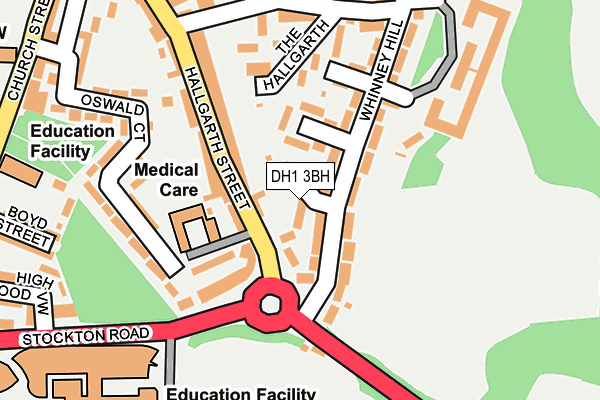 DH1 3BH map - OS OpenMap – Local (Ordnance Survey)