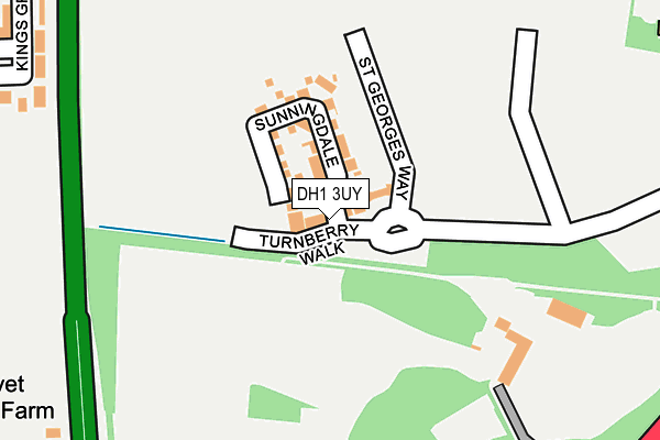 DH1 3UY map - OS OpenMap – Local (Ordnance Survey)