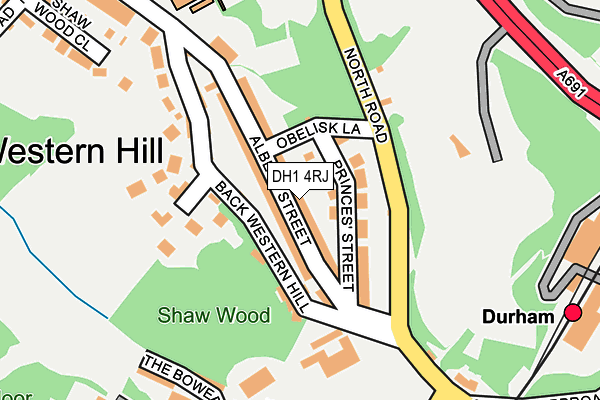DH1 4RJ map - OS OpenMap – Local (Ordnance Survey)