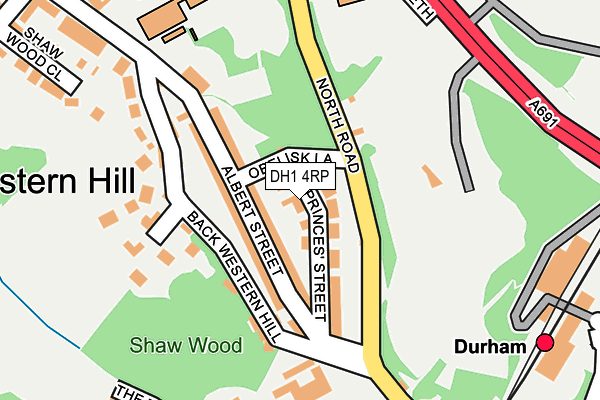 DH1 4RP map - OS OpenMap – Local (Ordnance Survey)