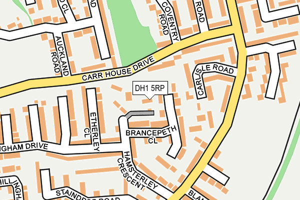 DH1 5RP map - OS OpenMap – Local (Ordnance Survey) DH1 5RP map - OS OpenMap – Local (Ordnance Survey)