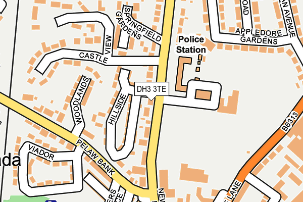 DH3 3TE map - OS OpenMap – Local (Ordnance Survey) DH3 3TE map - OS OpenMap – Local (Ordnance Survey)