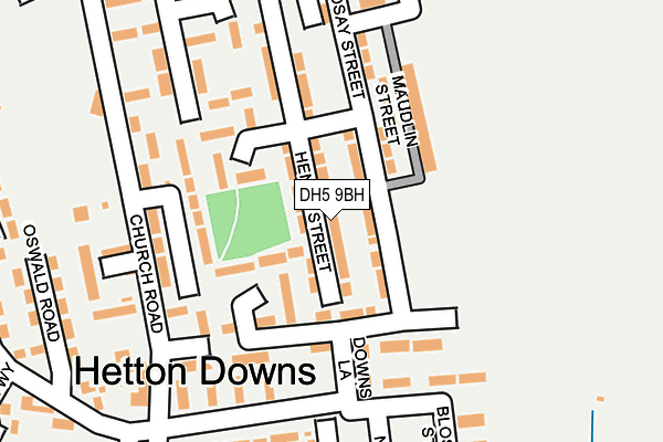 DH5 9BH map - OS OpenMap – Local (Ordnance Survey) DH5 9BH map - OS OpenMap – Local (Ordnance Survey)