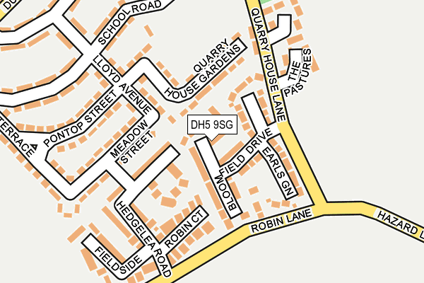 DH5 9SG map - OS OpenMap – Local (Ordnance Survey) DH5 9SG map - OS OpenMap – Local (Ordnance Survey)