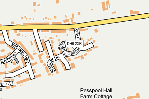 DH6 2XR map - OS OpenMap – Local (Ordnance Survey)