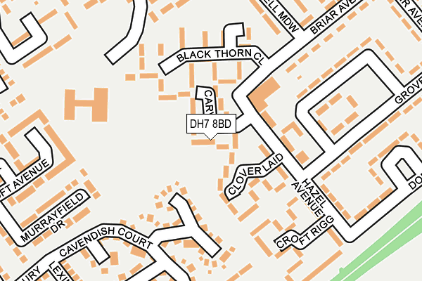 DH7 8BD map - OS OpenMap – Local (Ordnance Survey) DH7 8BD map - OS OpenMap – Local (Ordnance Survey)
