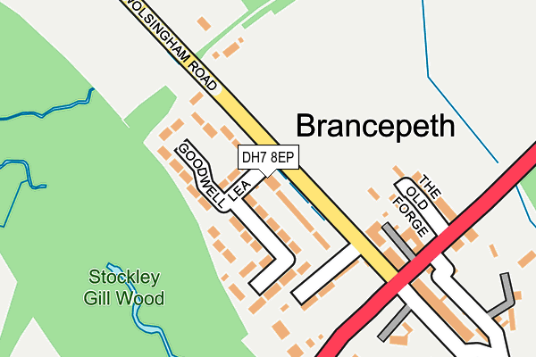 DH7 8EP map - OS OpenMap – Local (Ordnance Survey) DH7 8EP map - OS OpenMap – Local (Ordnance Survey)