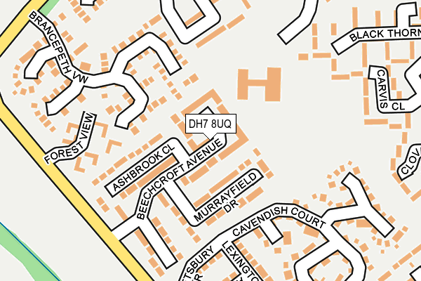 DH7 8UQ map - OS OpenMap – Local (Ordnance Survey) DH7 8UQ map - OS OpenMap – Local (Ordnance Survey)