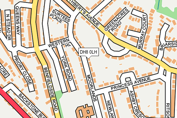 DH8 0LH map - OS OpenMap – Local (Ordnance Survey) DH8 0LH map - OS OpenMap – Local (Ordnance Survey)