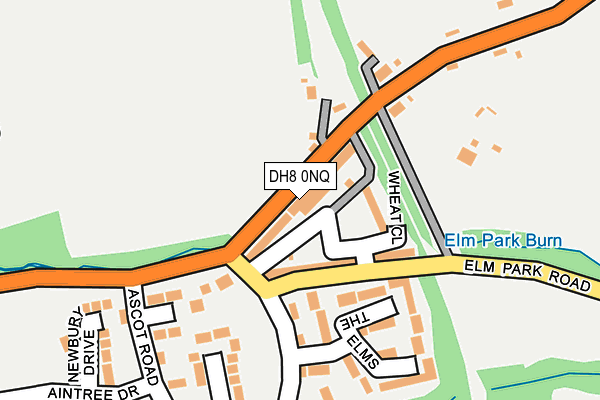 DH8 0NQ map - OS OpenMap – Local (Ordnance Survey)