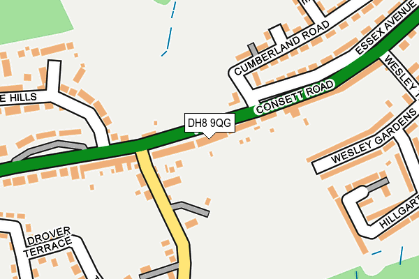 DH8 9QG map - OS OpenMap – Local (Ordnance Survey) DH8 9QG map - OS OpenMap – Local (Ordnance Survey)
