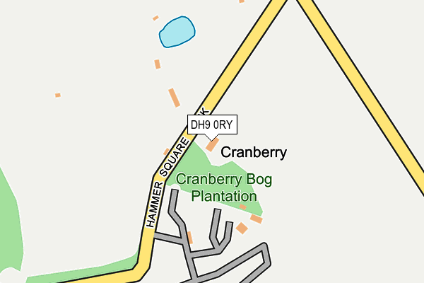 DH9 0RY map - OS OpenMap – Local (Ordnance Survey) DH9 0RY map - OS OpenMap – Local (Ordnance Survey)