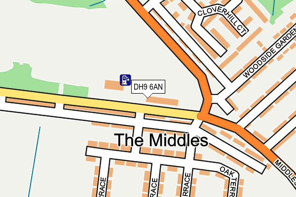 DH9 6AN map - OS OpenMap – Local (Ordnance Survey)
