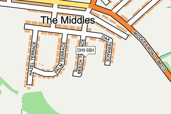 DH9 6BH map - OS OpenMap – Local (Ordnance Survey) DH9 6BH map - OS OpenMap – Local (Ordnance Survey)