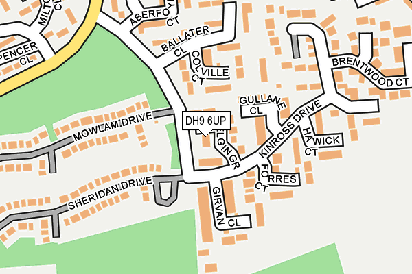 DH9 6UP map - OS OpenMap – Local (Ordnance Survey)